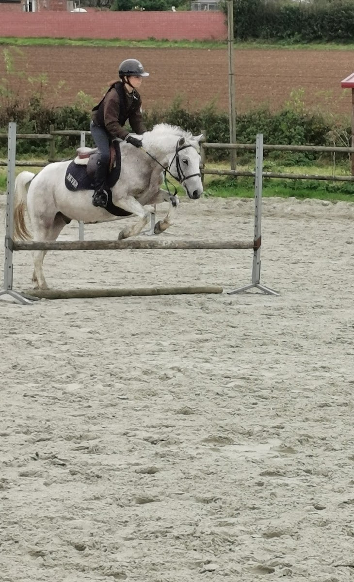 Photo de ECURIE ST WAAST