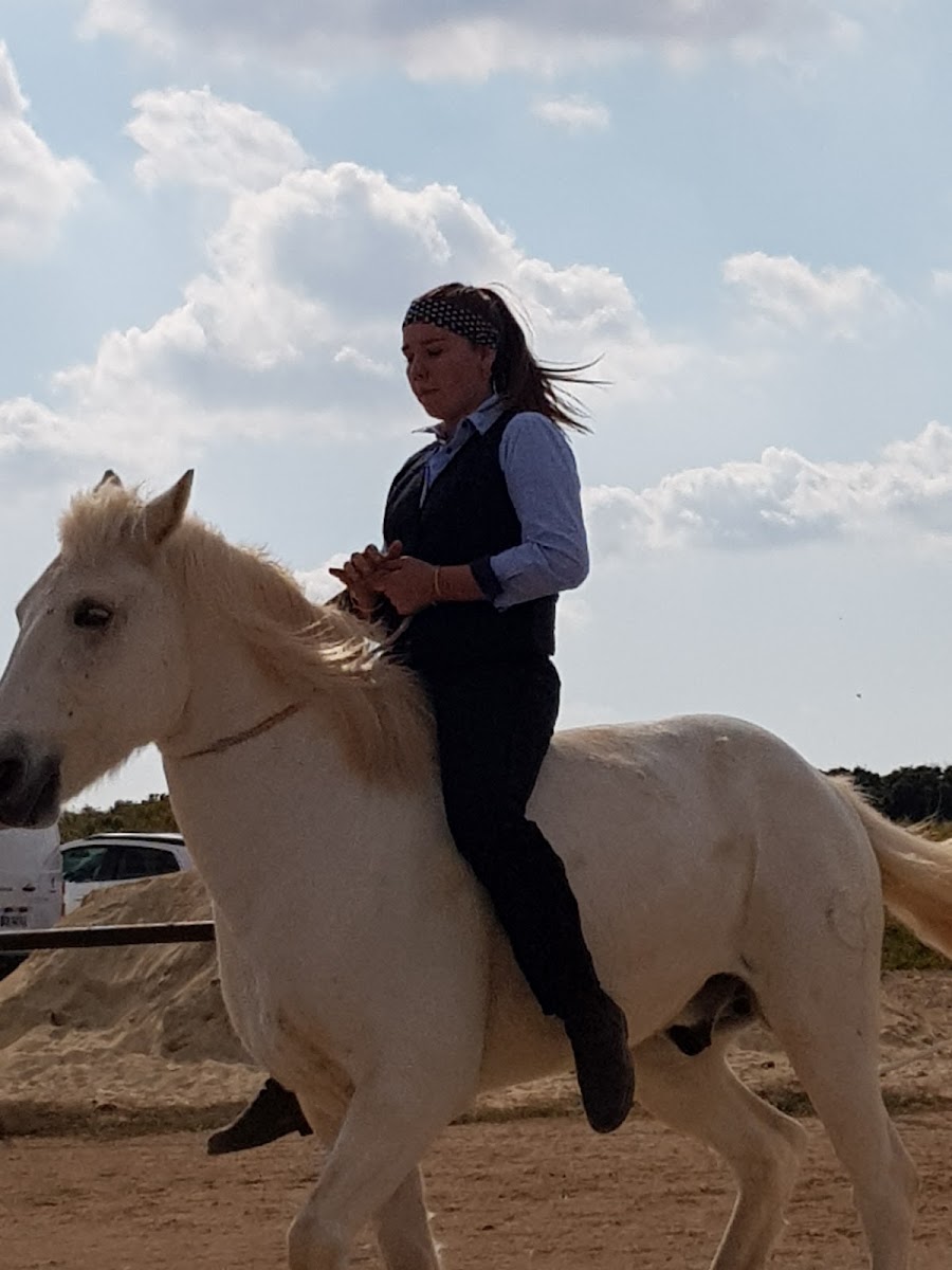Photo de ECURIE VOLTEO JULIEN PERRIN