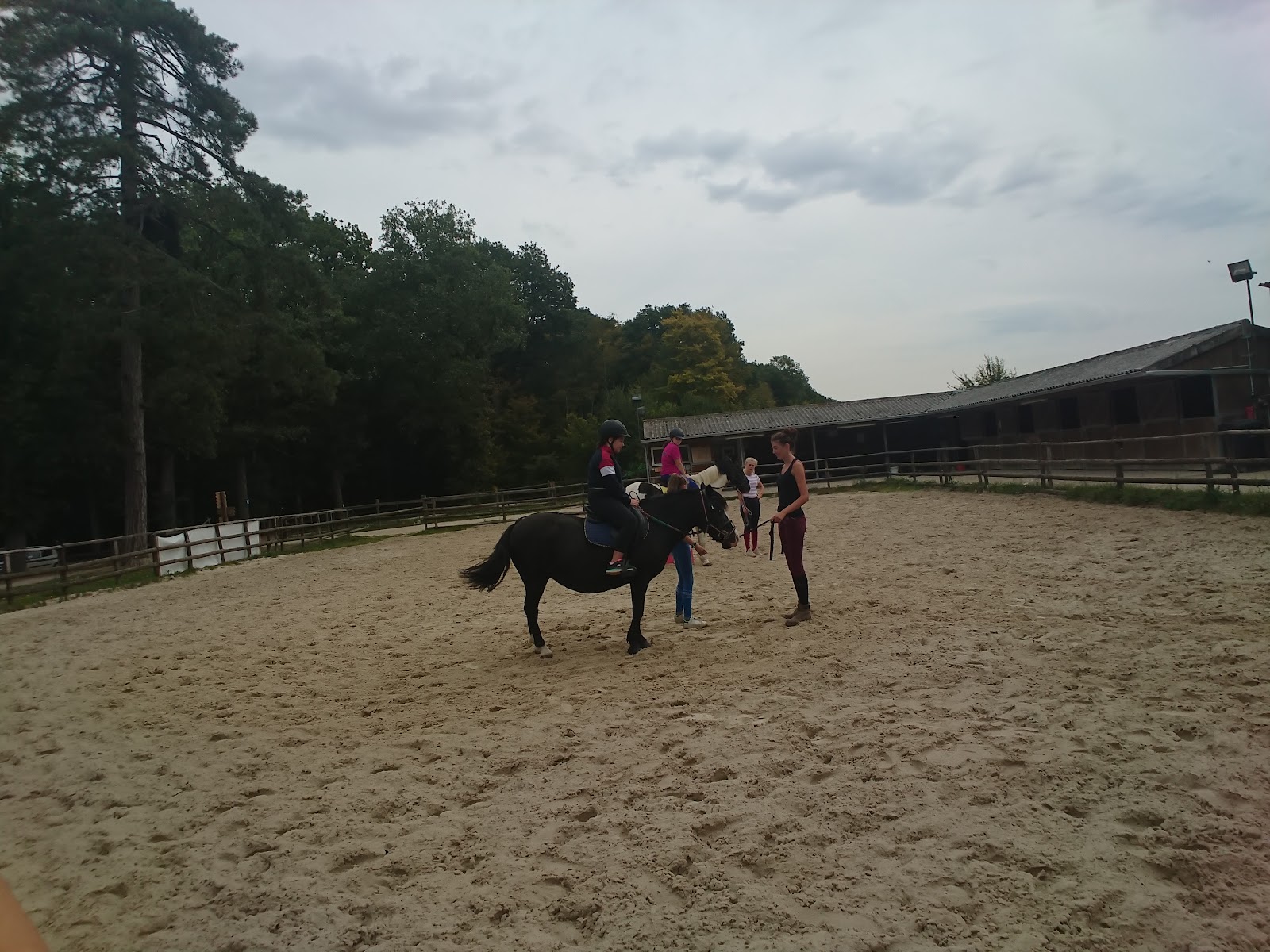 Photo de ECURIES ALEXANE FERREUX