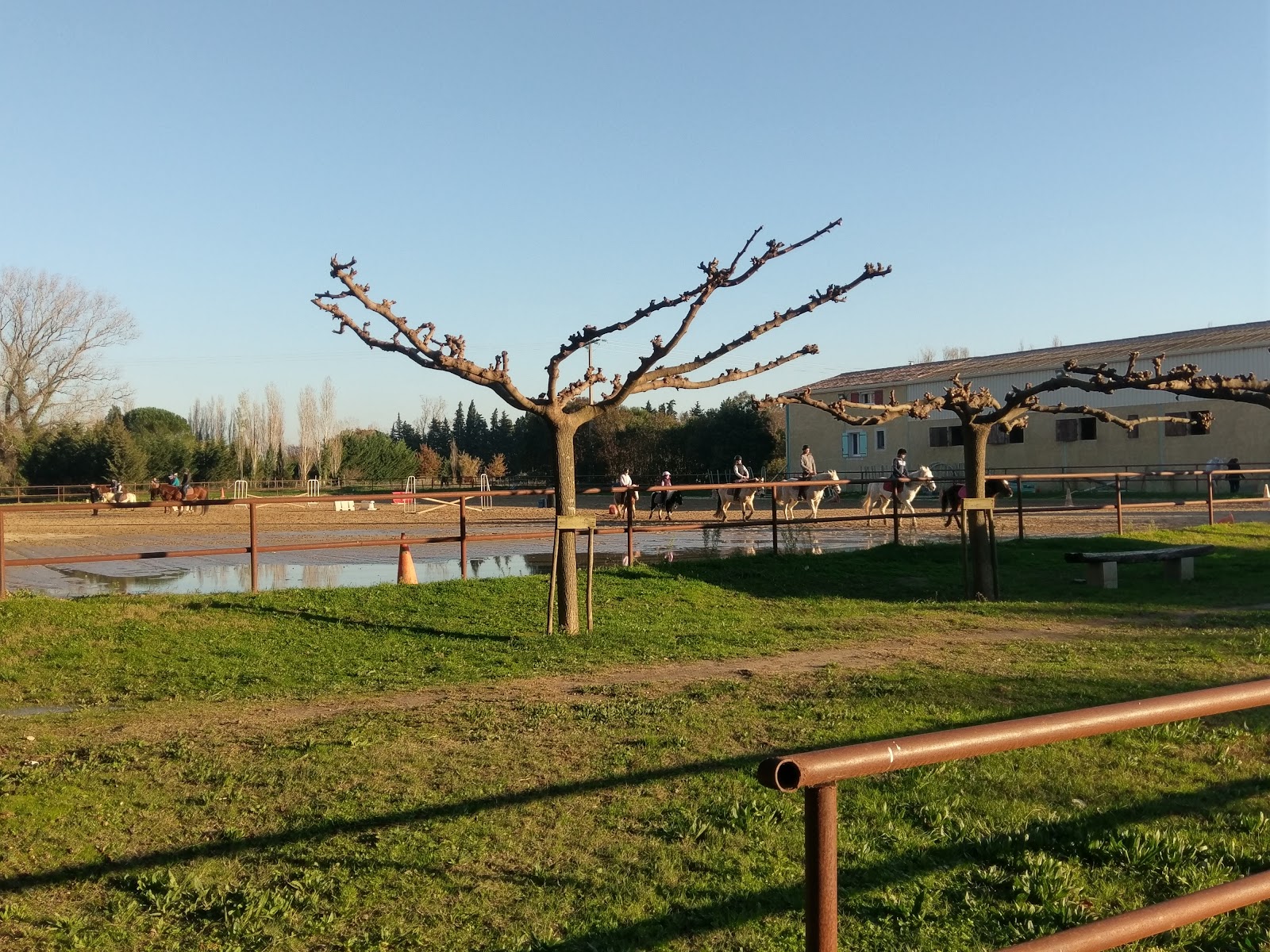 Photo de ECURIES D EROSES