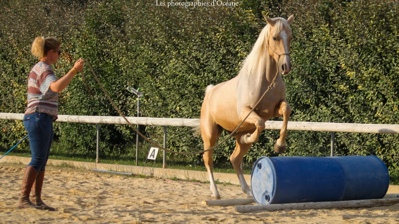 Photo de ECURIES DE CADILLAN