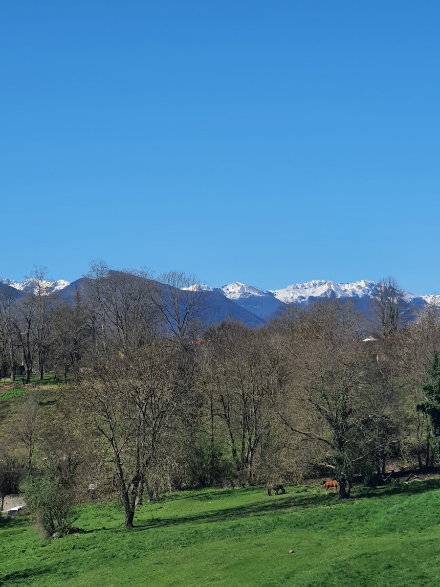 Photo de Écuries de Cuhour