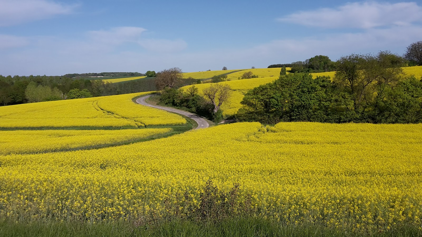 Photo de ECURIES DE LA CHARRIERE