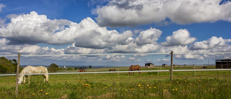 Photo de ECURIES DE SOULERIS