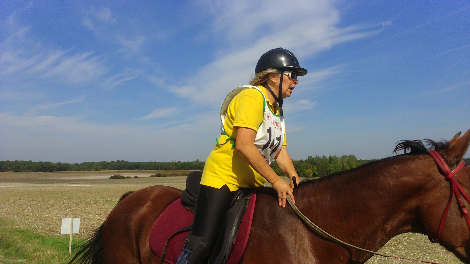 ECURIES DES AGRIERS