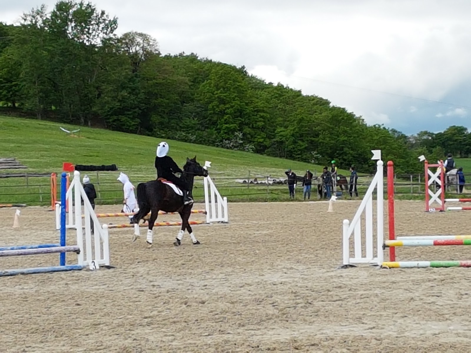 ECURIES DES BELS PENSIONS CHEVAL NATURE