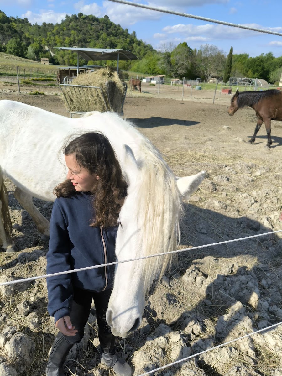 Photo de ECURIES DES GARANCES