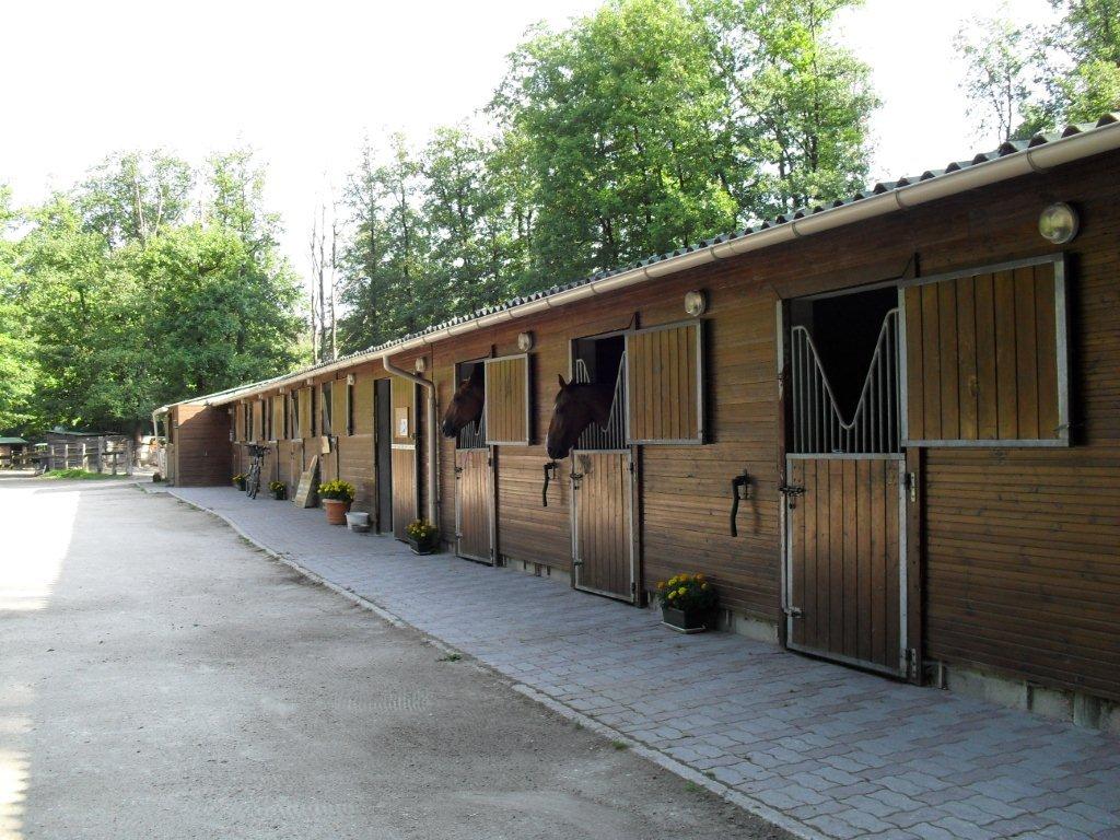 Photo de ECURIES DES GRANDES TERRES