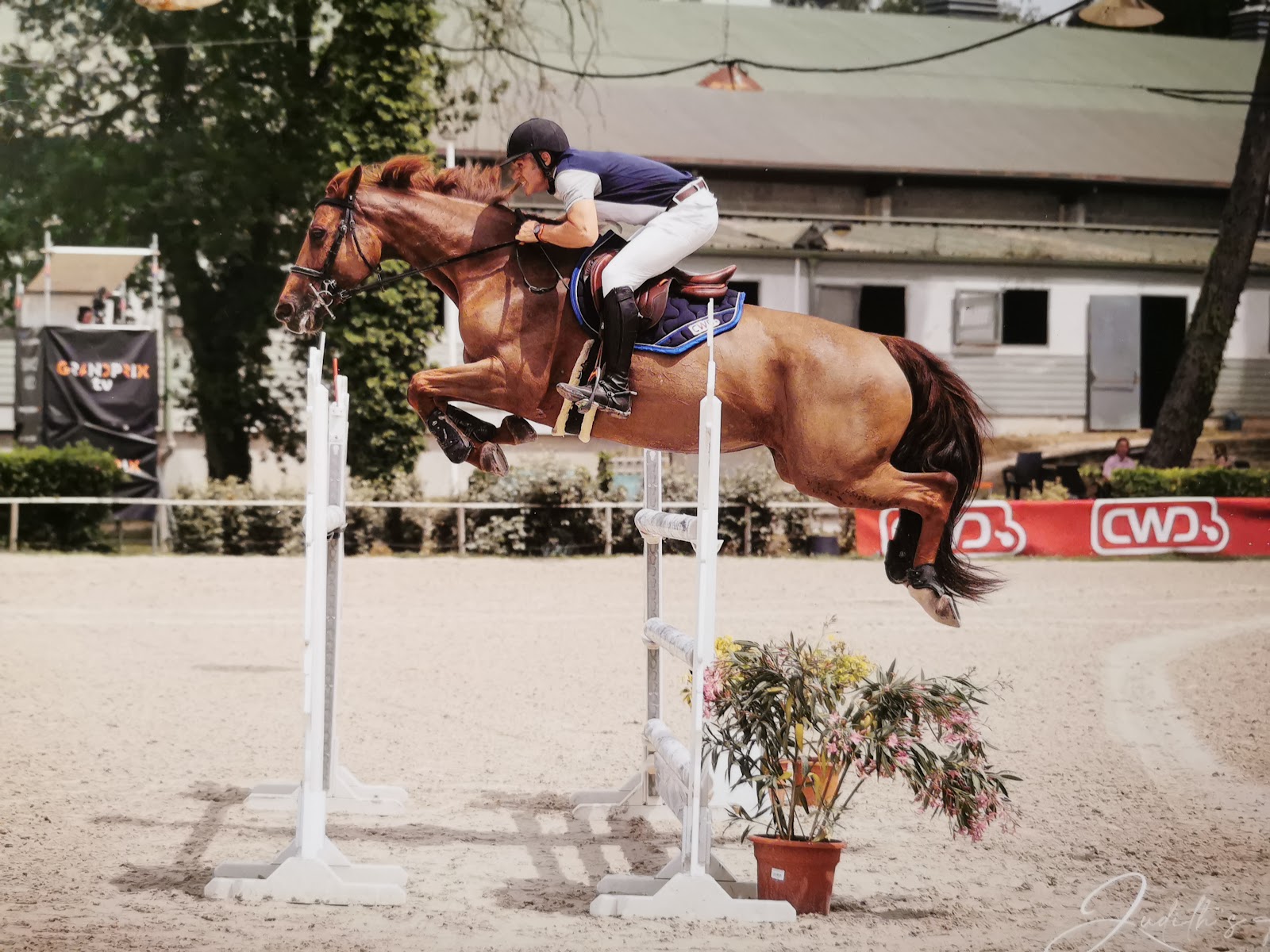 Photo de ECURIES DU CLAUD NEUF