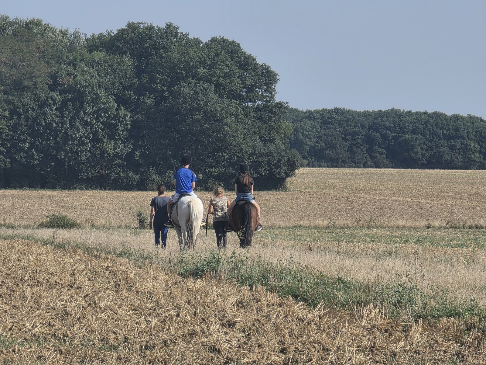 Photo de ECURIES DU GIROUDET