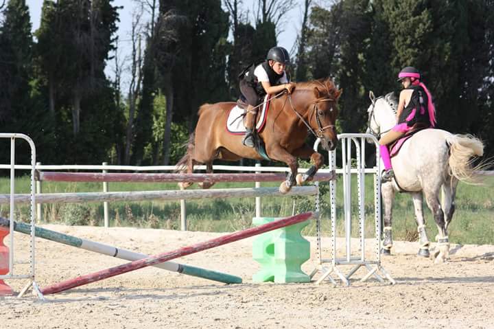 Photo de ECURIES DU JALE
