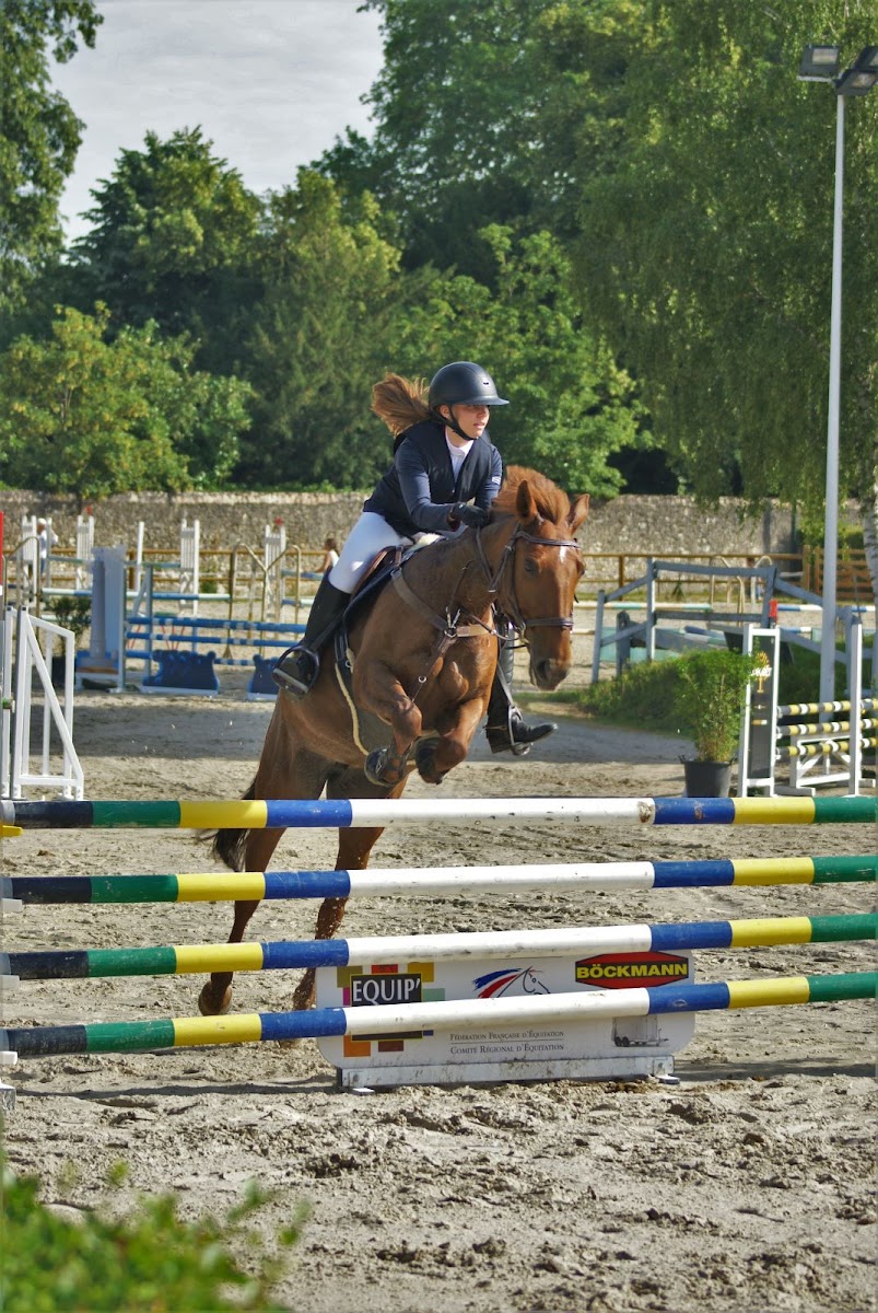 Photo de ECURIES DU LYS