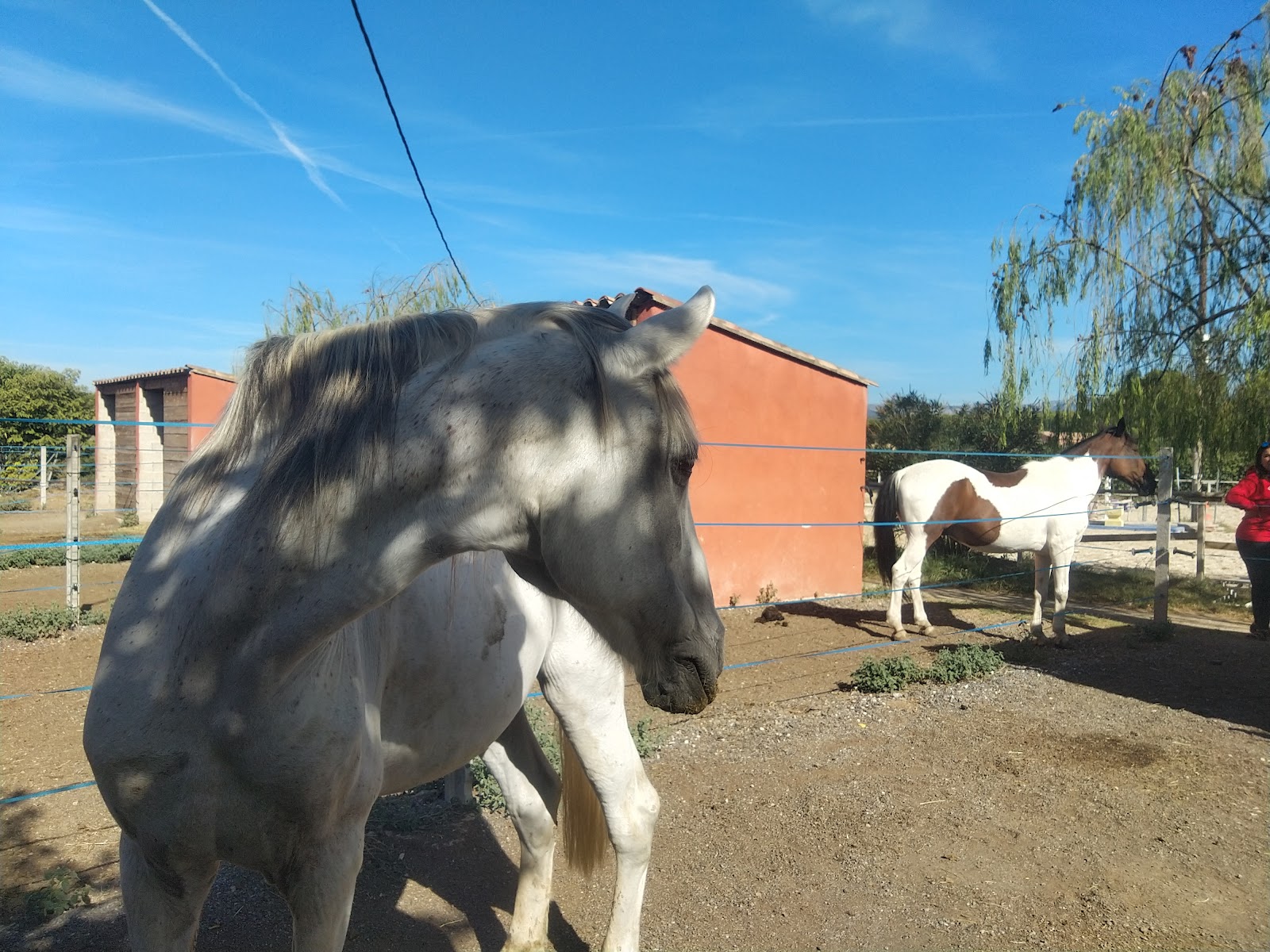 Photo de ECURIES DU PARADIS