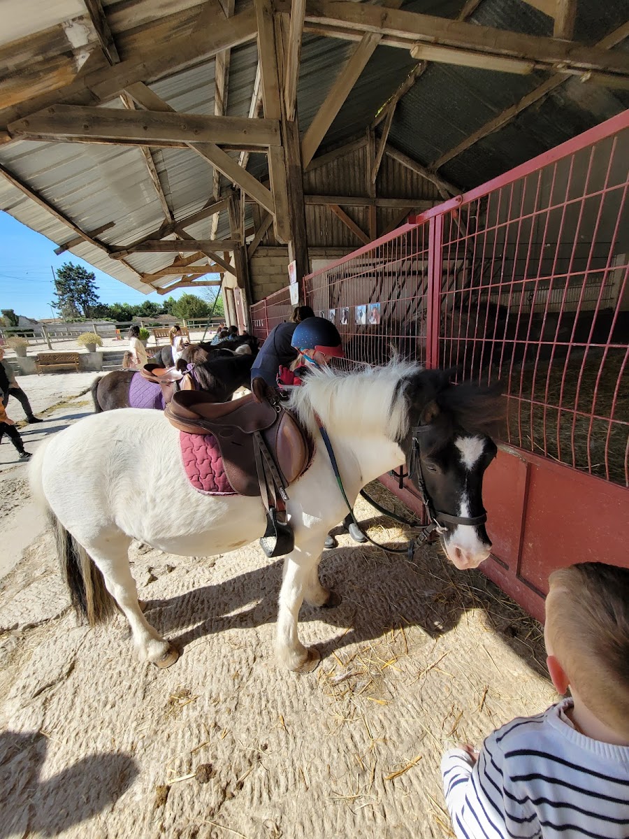 Photo de ECURIES DU PONEY D OR