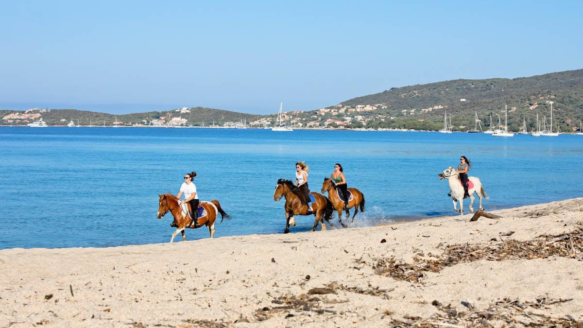 Photo de ECURIES LE GOLFE