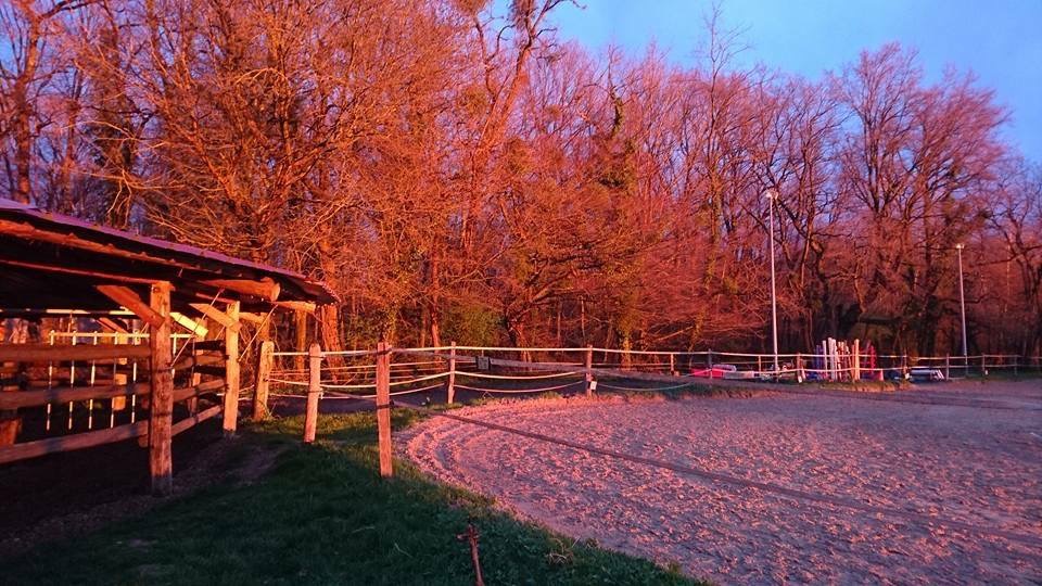 Photo de ECURIES SAINTE MARIE