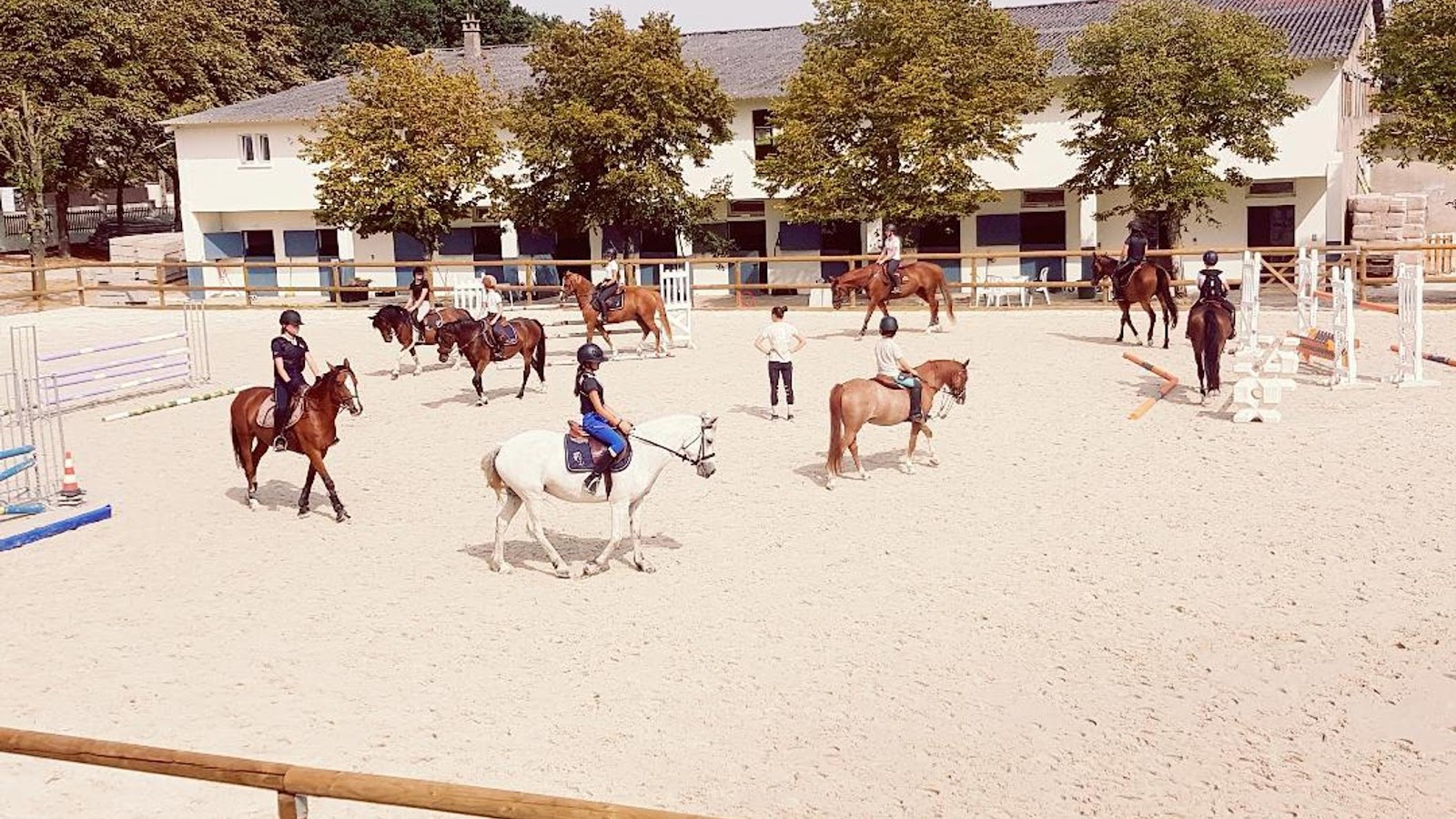 Photo de ECURIES YANN CATIER