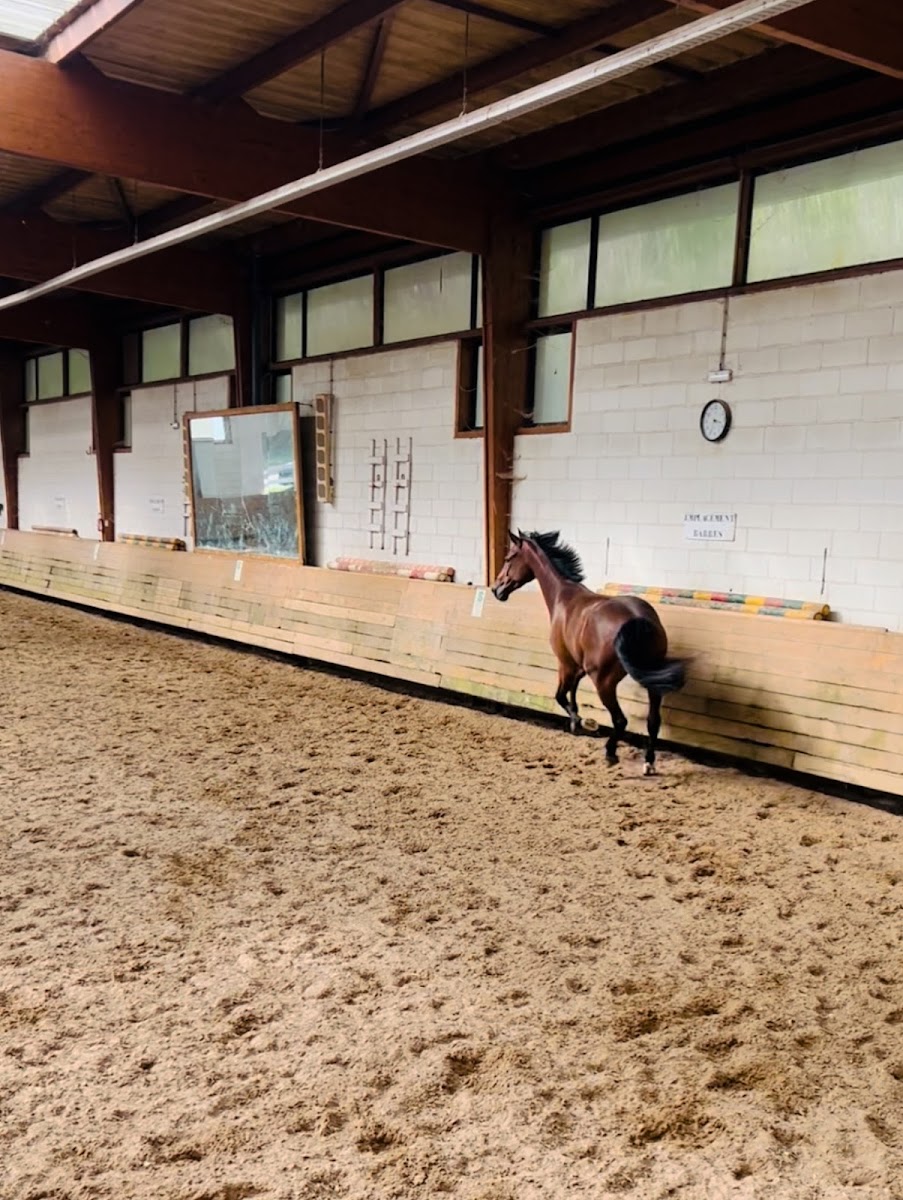 Photo de ELEVAGE DU TALION