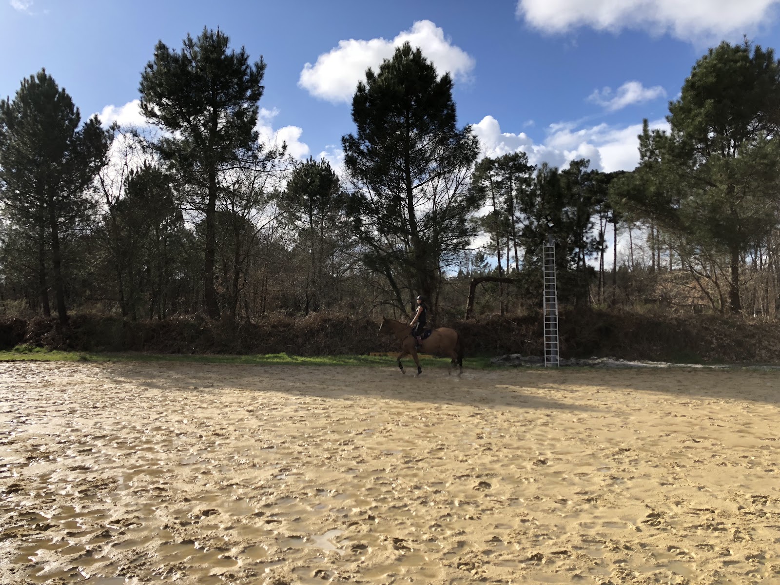 Photo de ELM ECURIE LACANAU DE MIOS