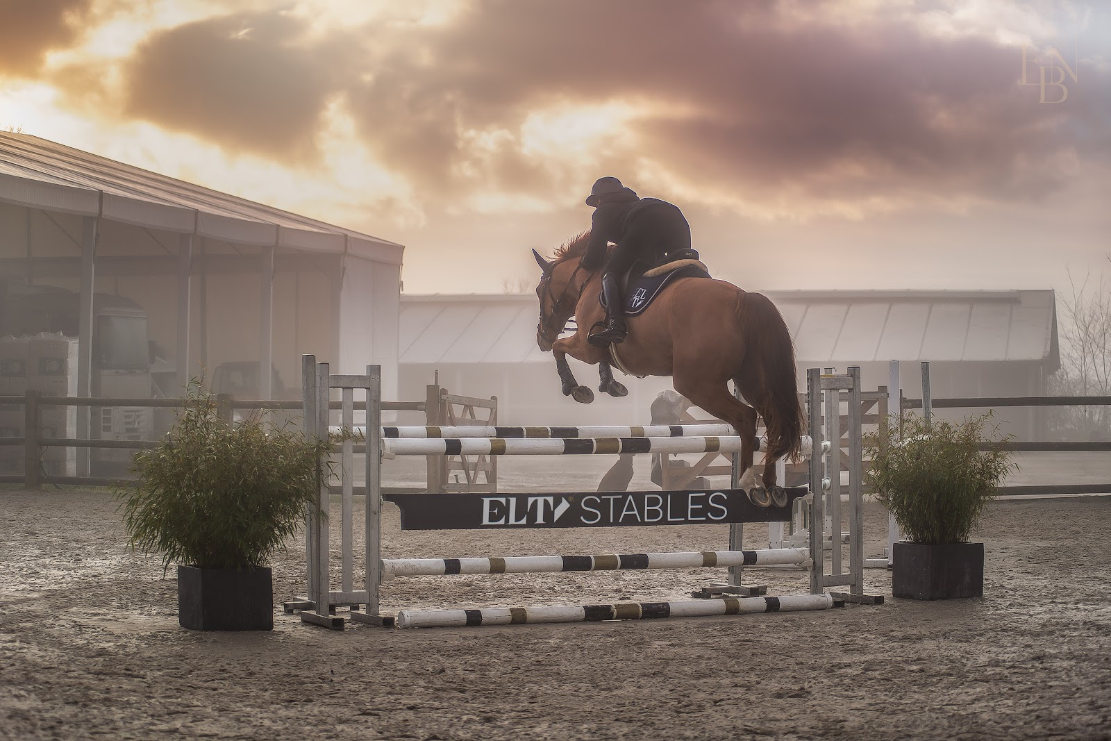 Photo de ELTI STABLES