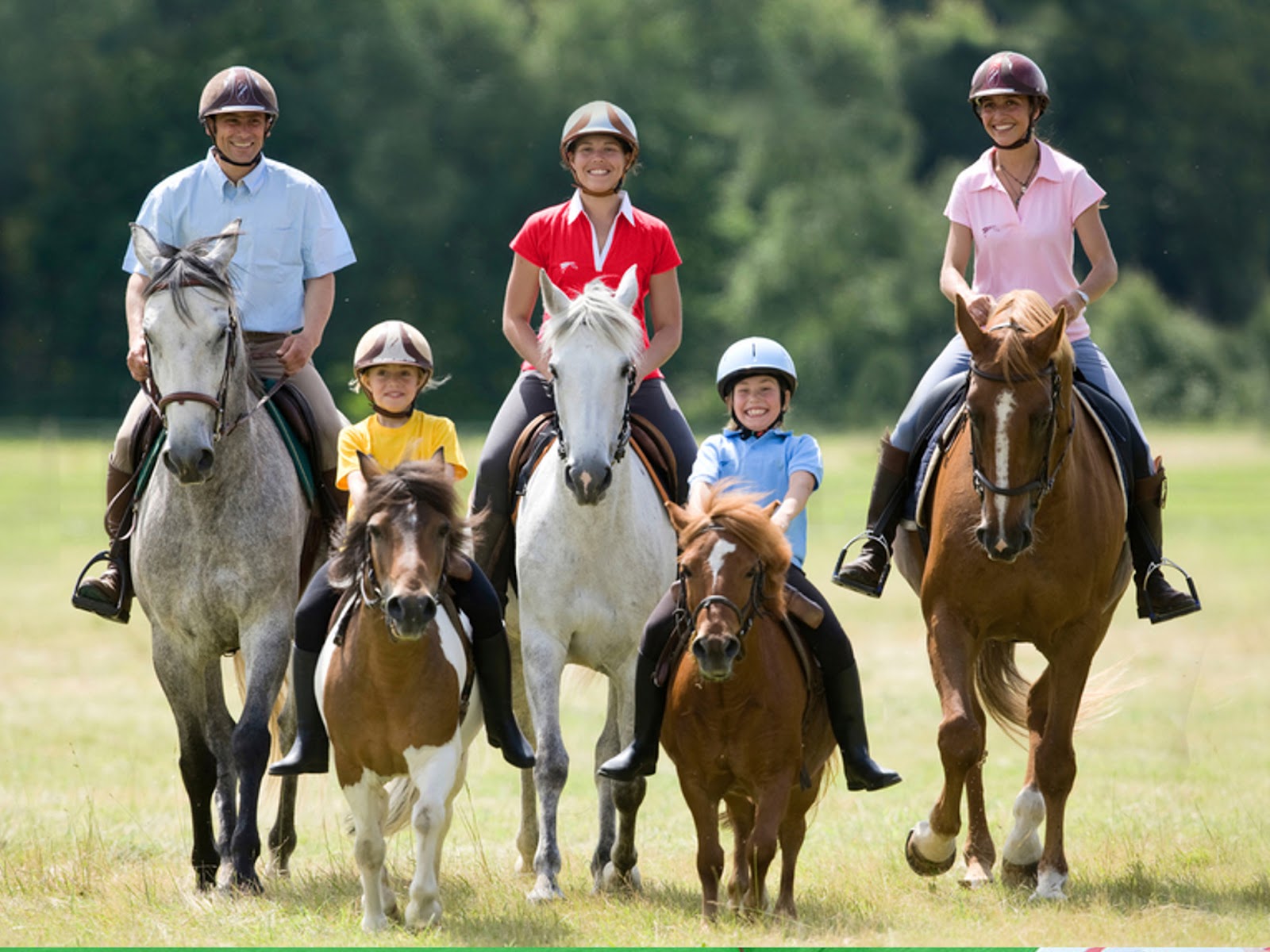 Photo de EPONA CROISSY BEAUBOURG EQUITATION