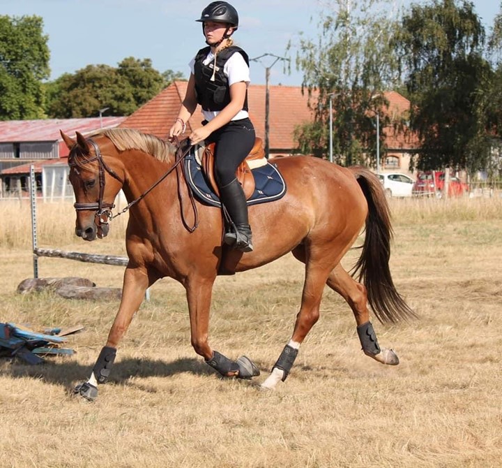 Photo de EQUESTRE DE DIEUZE