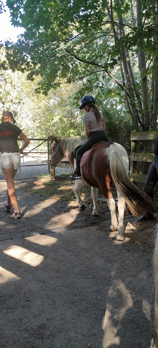 Photo de EQUI CLUB SAINT FLOUR VOLZAC