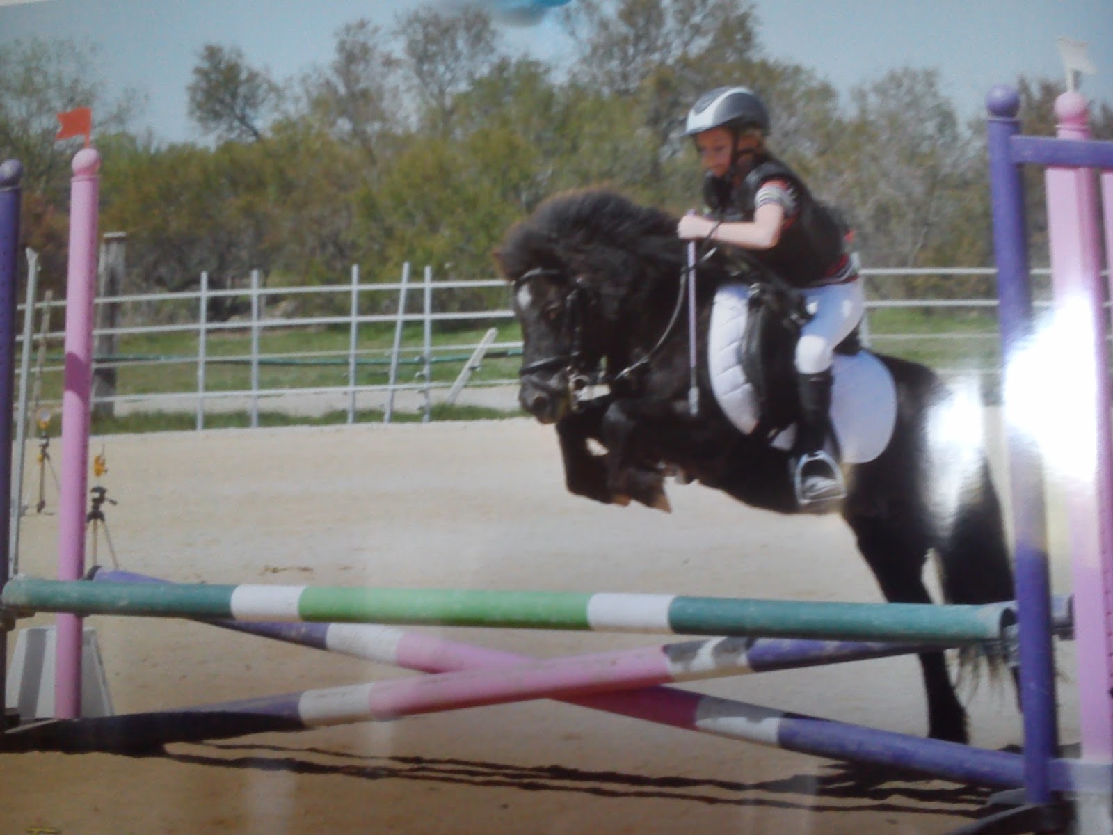 Photo de EQUI GYM