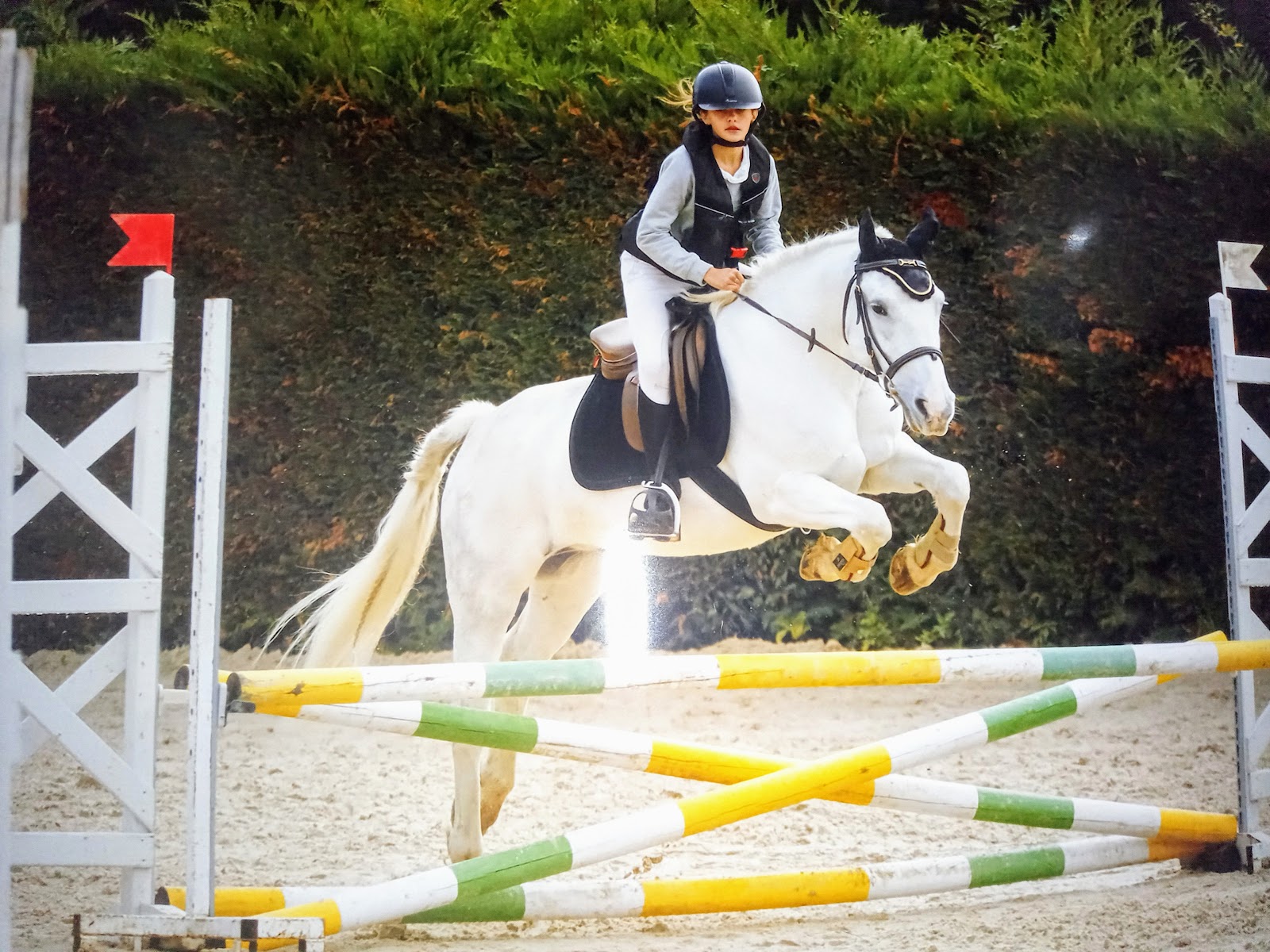 Photo de EQUI LIBRE DES EYGAUDS