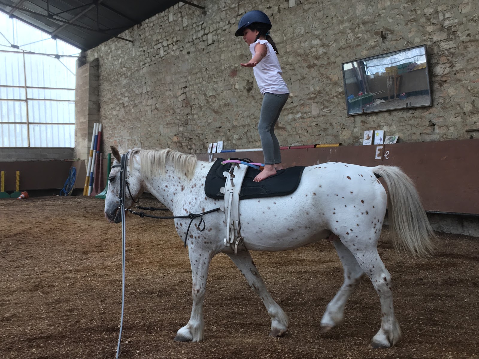 Photo de EQUI LIEN