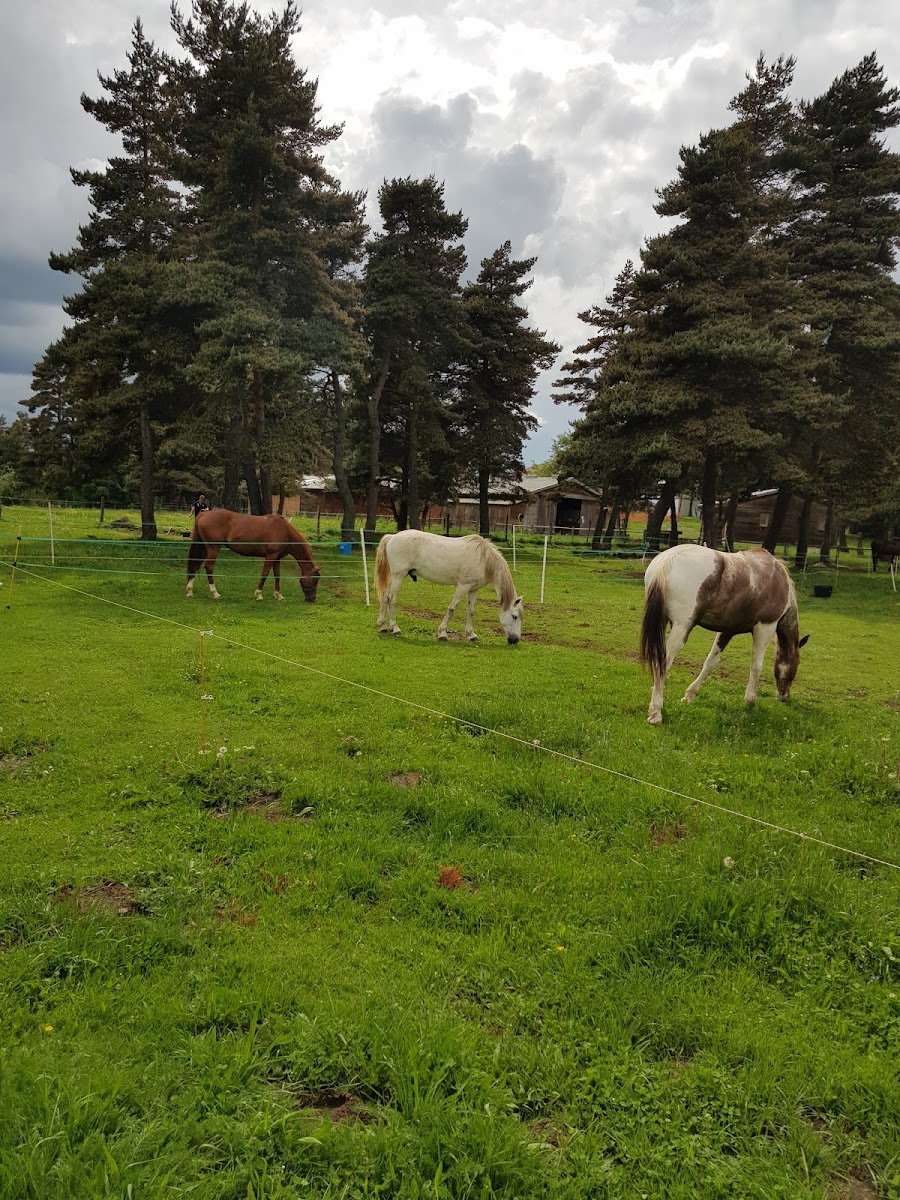 Photo de EQUI NATURE