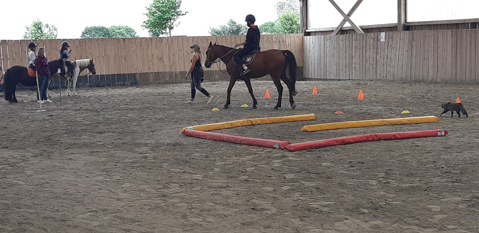 Photo de EQUI PLUM