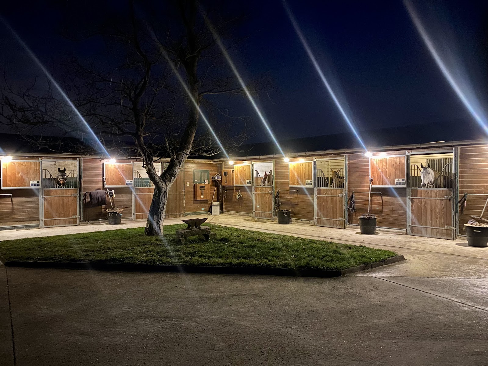 Photo de EQUI SERVICES