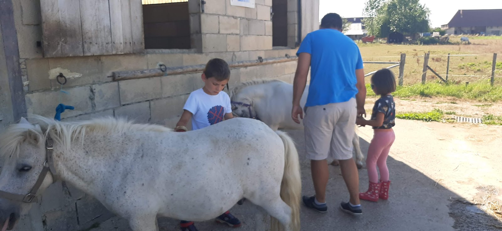 Photo de EQUI VAL D AMOUR
