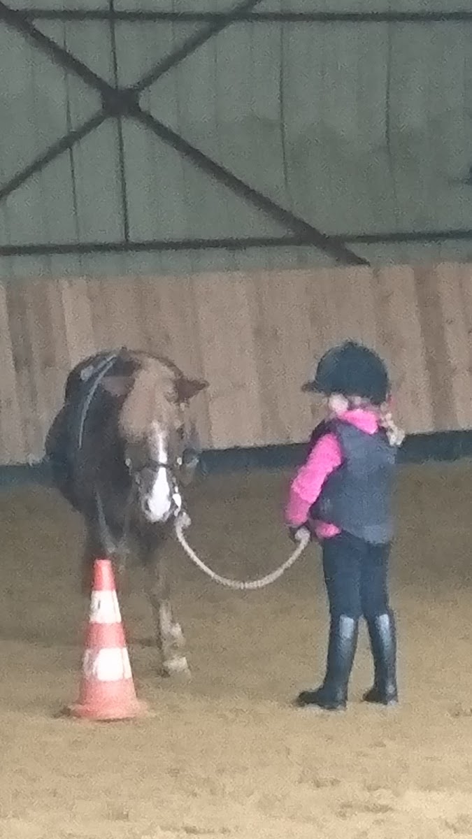 Photo de EQUIDOG HARAS DE BRUNEL