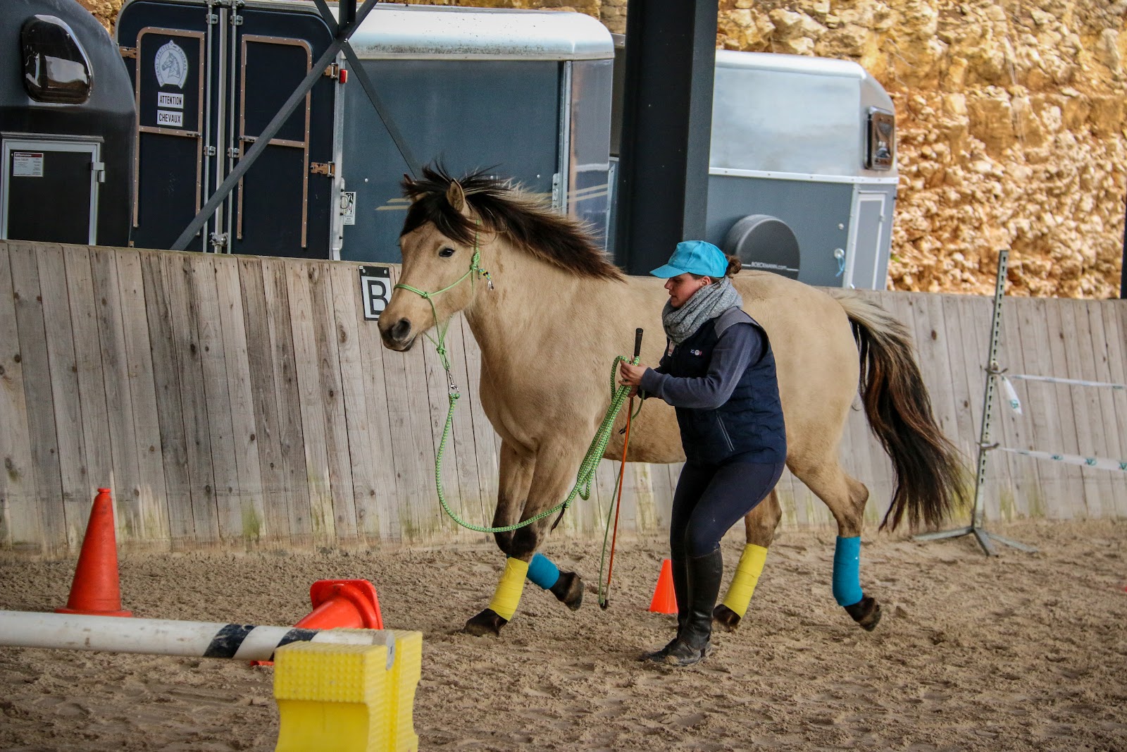 Photo de EQUIFEEL PARTAGE