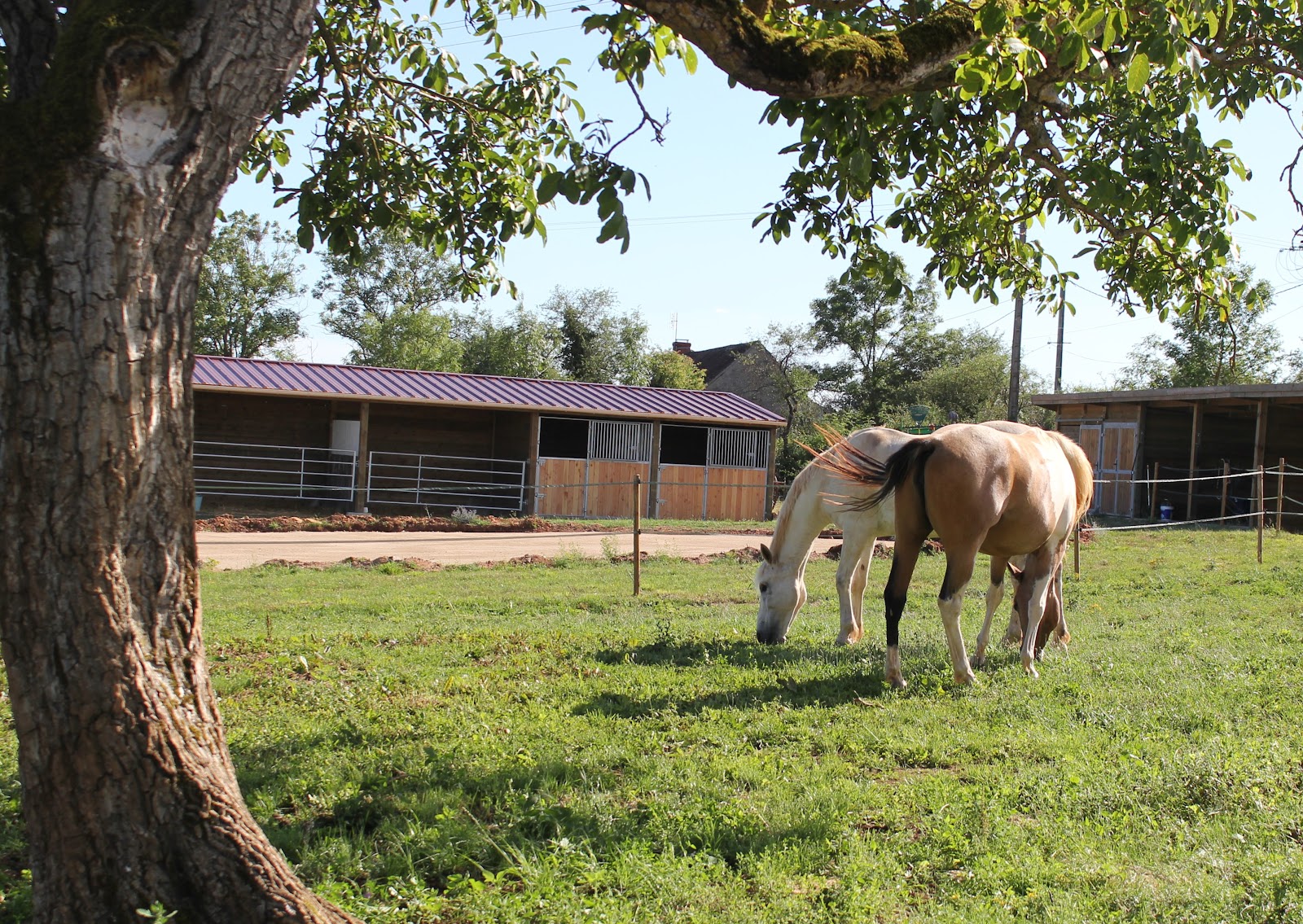 Photo de EQUILOGIC