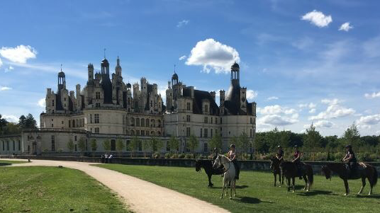Photo de EQUINATURE CHEVAL ET CHATEAUX