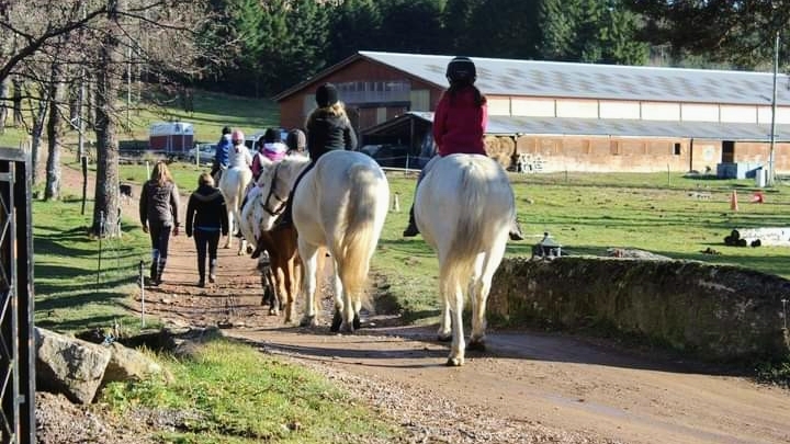 EQUITAPASSION