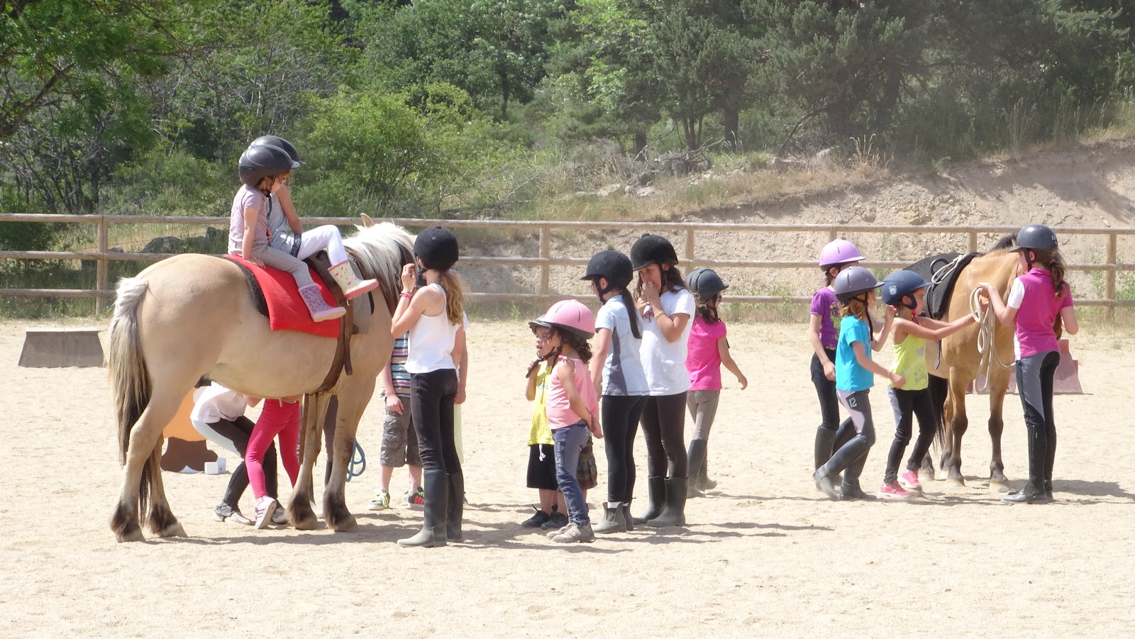 Photo de EQUITATION ETHOLOGIE ALTEYRAC