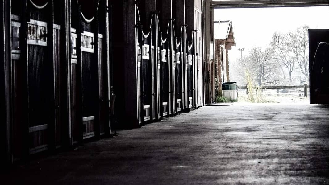 Photo de ESPACE EQUESTRE DE MAZEROLLES
