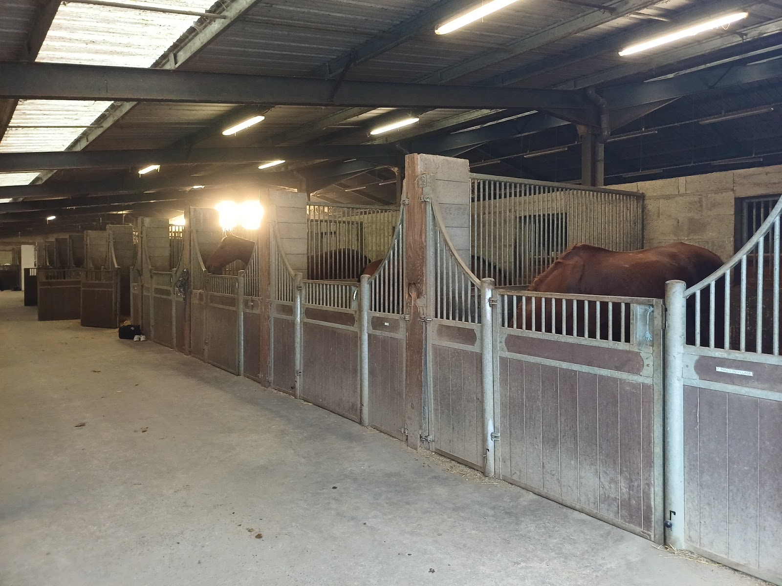 Photo de ESPACE EQUESTRE LA FLEURIAYE