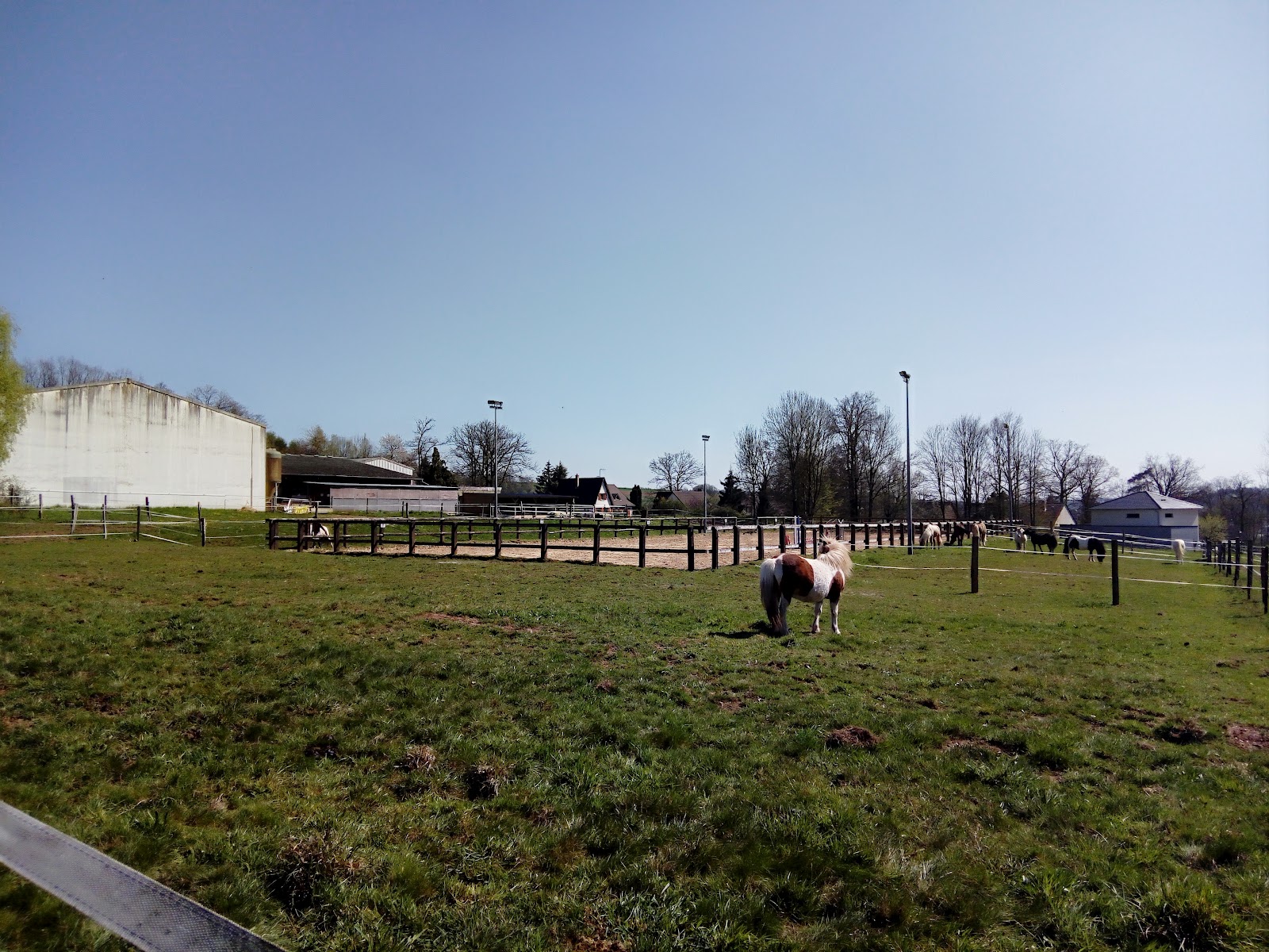 Photo de ETRIER ARDENNAIS
