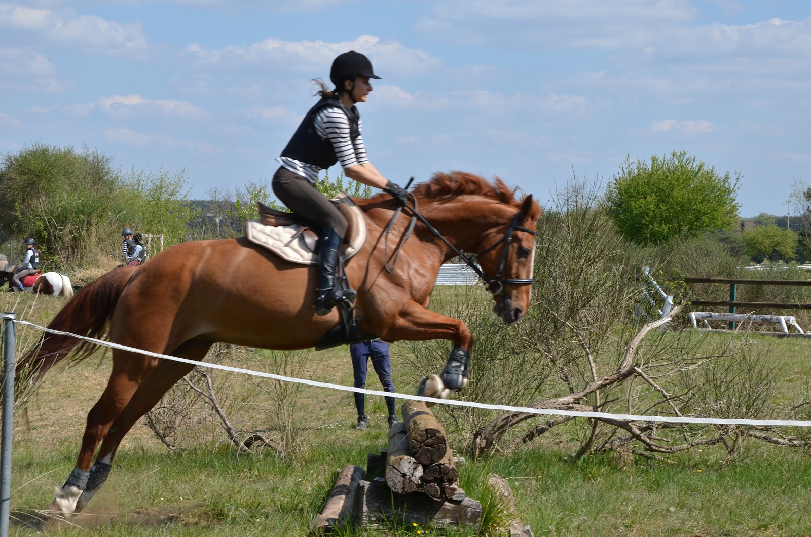 Photo de ETRIER CHARENTAIS