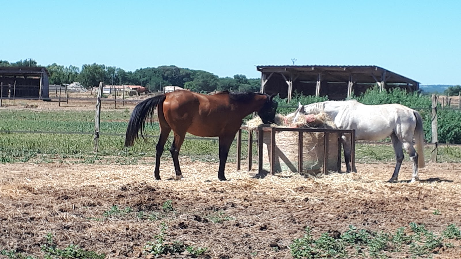 Photo de ETRIER DE FONTENILLES