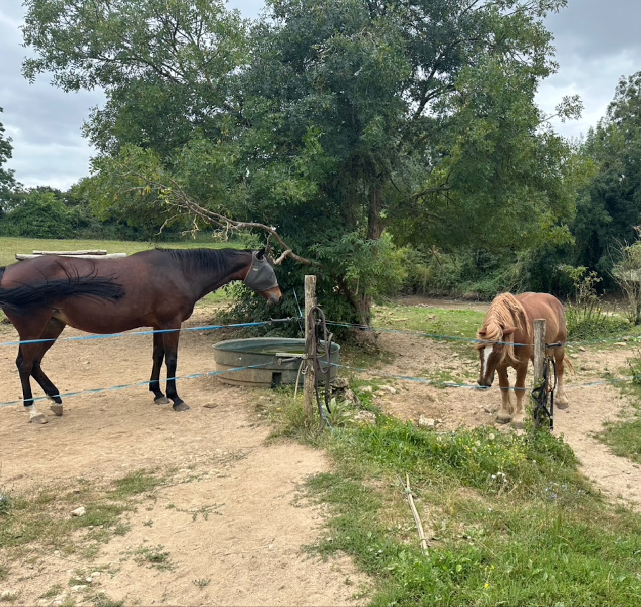 Photo de ETRIER DU PAYS MELLOIS