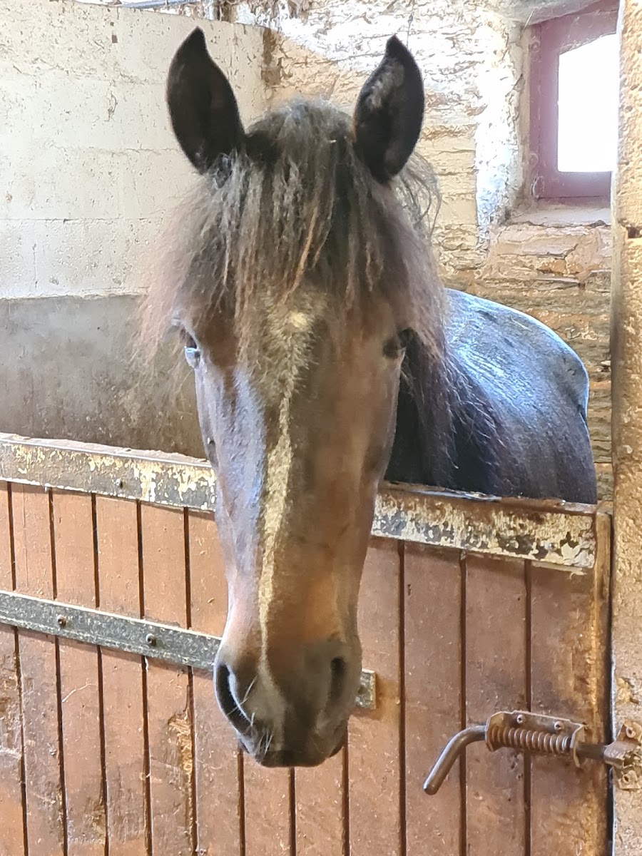 Photo de Étrier du Val Chevrier