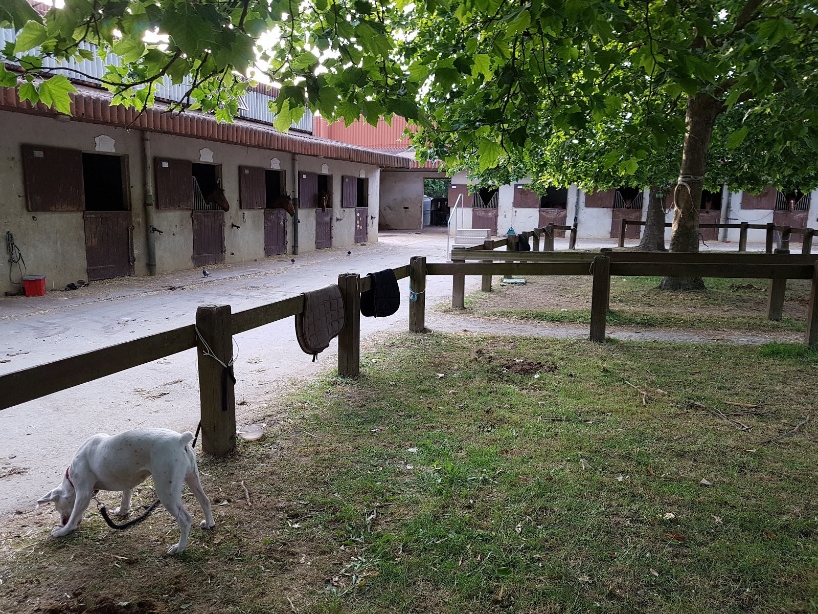 Photo de ETRIER FONTENAISIEN