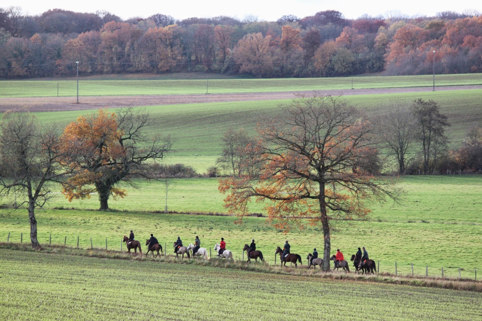 Photo de F E CAVALIBRE