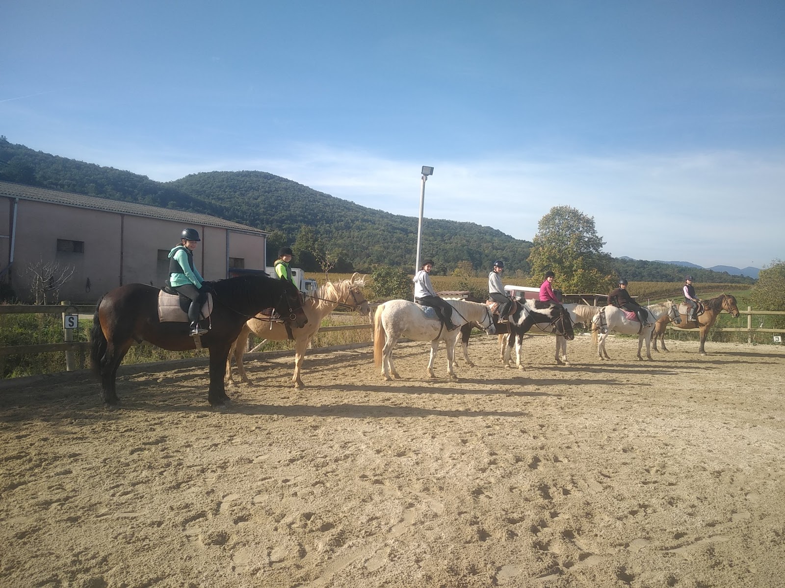 Photo de F E DU CAUSSE